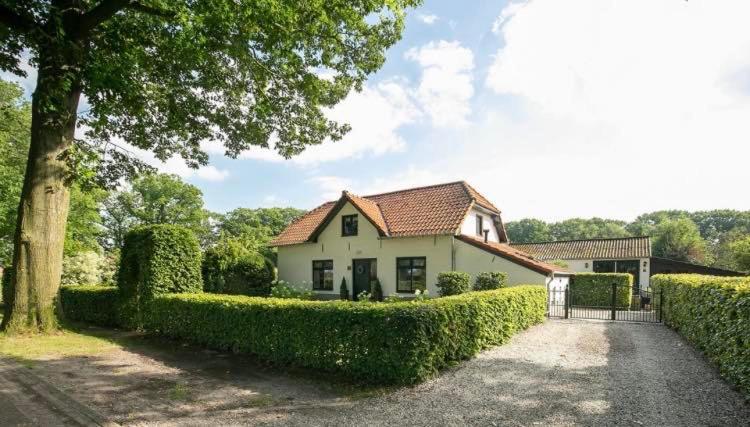Logement In De Peel Griendtsveen Zewnętrze zdjęcie
